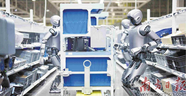 優(yōu)必選工業(yè)人形機器人在工廠開展協(xié)同實訓。 南方日報記者 朱洪波 通訊員 羅艷 攝